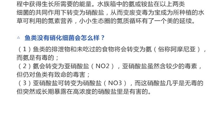 森森浓缩硝化细菌液体水质鱼缸净水剂