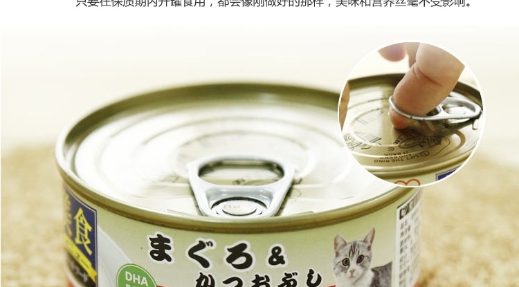 爱丽思Iris 金枪鱼口味猫罐头湿粮 100g*3罐