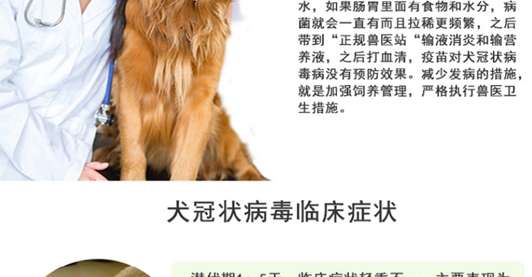 犬冠状病毒