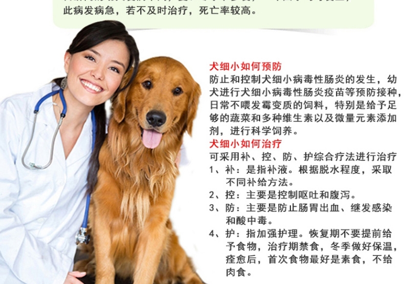 seinofy犬细小冠状双联检测卡