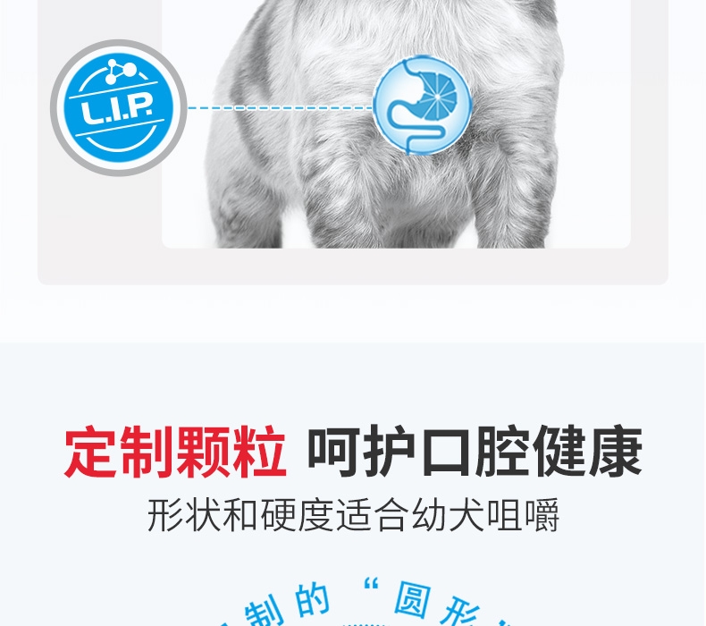 法国皇家ROYAL CANIN 中型犬幼犬粮专用狗粮 16kg(4kg*4)