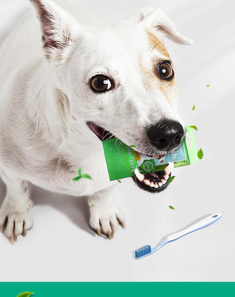 多美洁 犬用天然清新口气洁齿凝露 118ml 美国进口