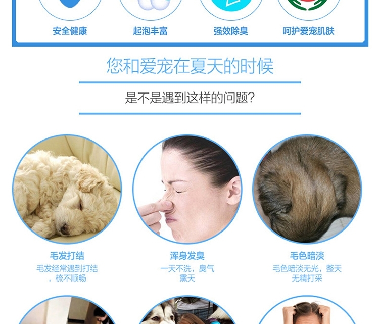 狮王LION 每日洗二合一香波 柔和花香型 犬用 550ml