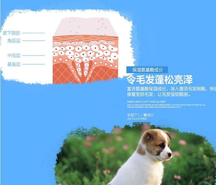 狮王LION 每日洗二合一香波 柔和花香型 犬用 550ml