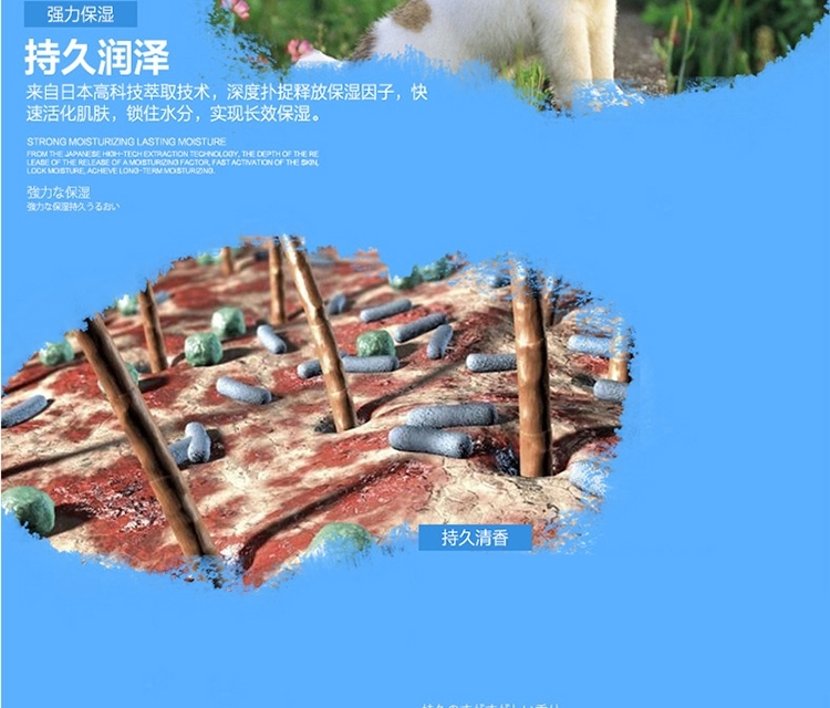 狮王LION 每日洗二合一香波 柔和花香型 犬用 550ml