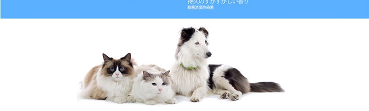 狮王LION 每日洗二合一香波 柔和花香型 犬用 550ml