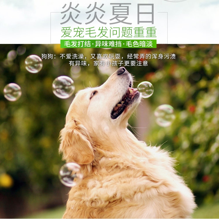 狮王LION 每日洗二合一香波 柔和花香型 犬用 550ml