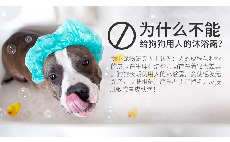 狮王LION 每日洗二合一香波 柔和花香型 犬用 550ml
