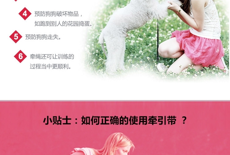 德丰Dog's life 牛仔脚印花边狗狗拉胸背带
