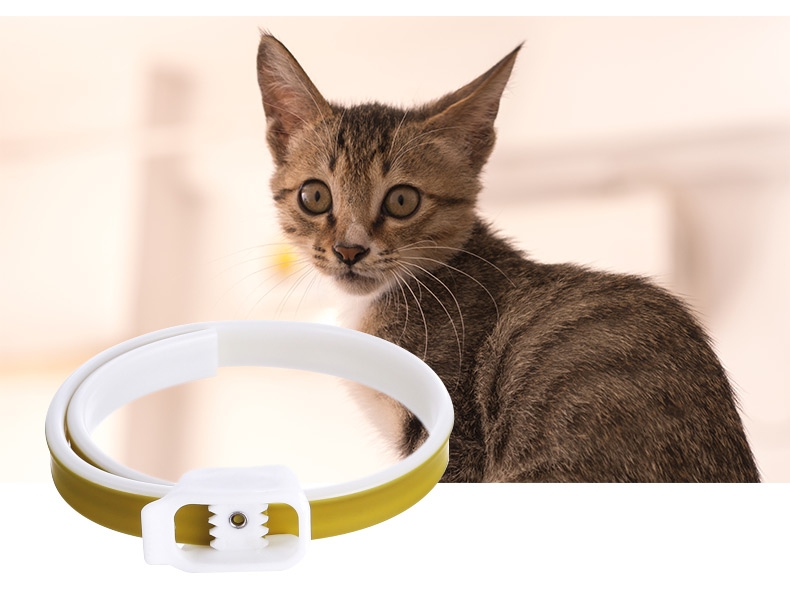 ohh 猫用天然精油留香防虫驱蚤项圈 除跳蚤螨虫虱子