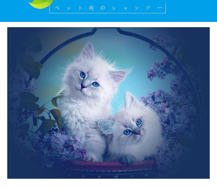 狮王LION 祛跳蚤二合一香波替换装 草本花香型 犬猫通用 400ml