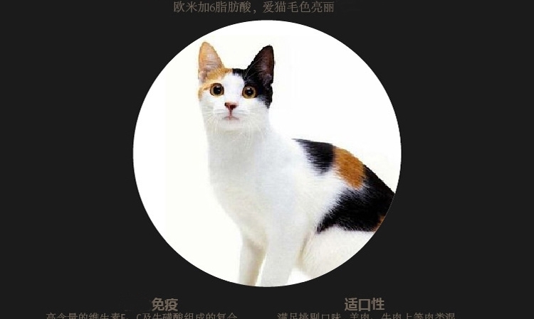 HeartLink 精灵猫 全期猫粮天然粮500g