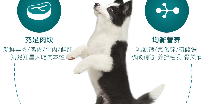 怡亲Yoken 牛肉鲜肝配方狗罐头 375g