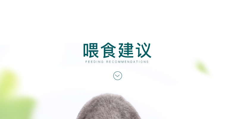 怡亲Yoken 牛肉鲜肝配方狗罐头 375g