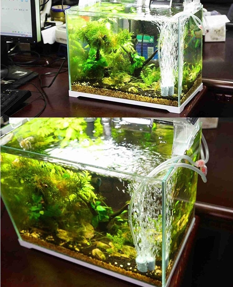 森森 静音单双孔增氧泵增氧机加氧泵鱼缸水族箱养鱼冲氧机氧气泵