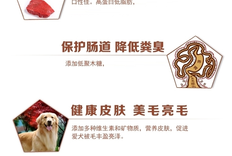 爱丽思Iris 牛肉野菜味狗罐头湿粮 100g*3罐