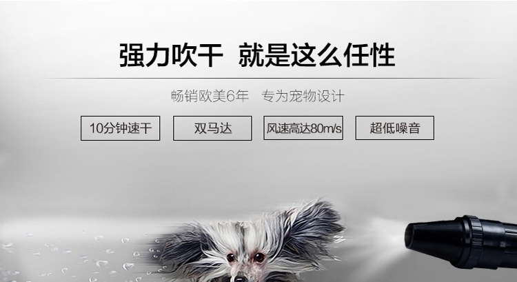 喜乐蒂 宠物专用吹水机 双马达强力速干