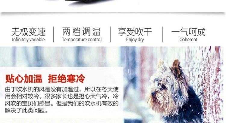 喜乐蒂 宠物专用吹水机 双马达强力速干
