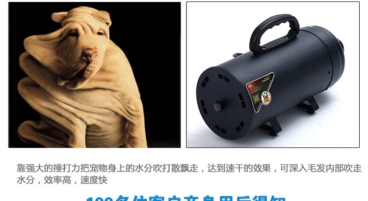 喜乐蒂 宠物专用吹水机 双马达强力速干