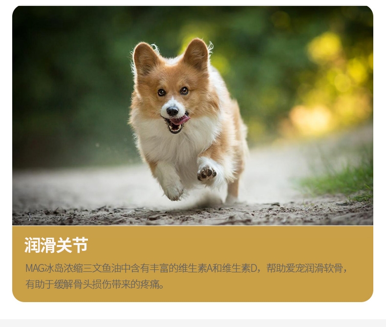 MAG 犬用超浓缩冰岛三文鱼油300ml