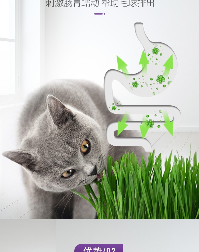 谷登 猫化毛膏120g 猫草精华 美国认证 速效化毛