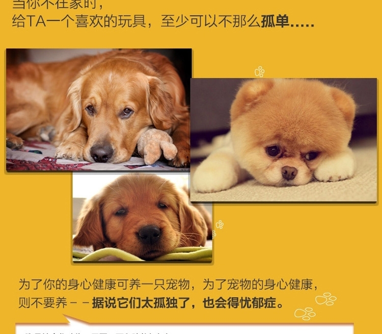 AFP 超声波毛绒狗狗玩具-沉默寡言的松鼠(3260)