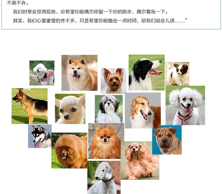 AFP 超声波毛绒狗狗玩具-沉默寡言的松鼠(3260)