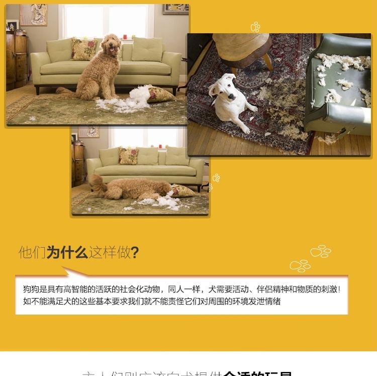 Pawise 狗狗玩具洁齿骨