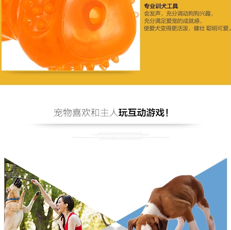 Pawise 狗狗玩具洁齿骨