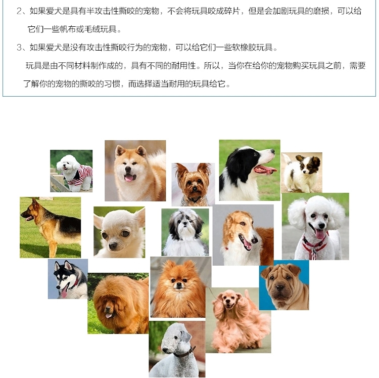Pawise 狗狗玩具洁齿骨