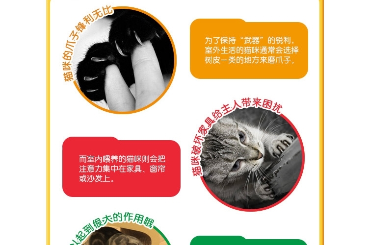 AFP 经典舒适猫抓板 冲球抓鱼猫爬架