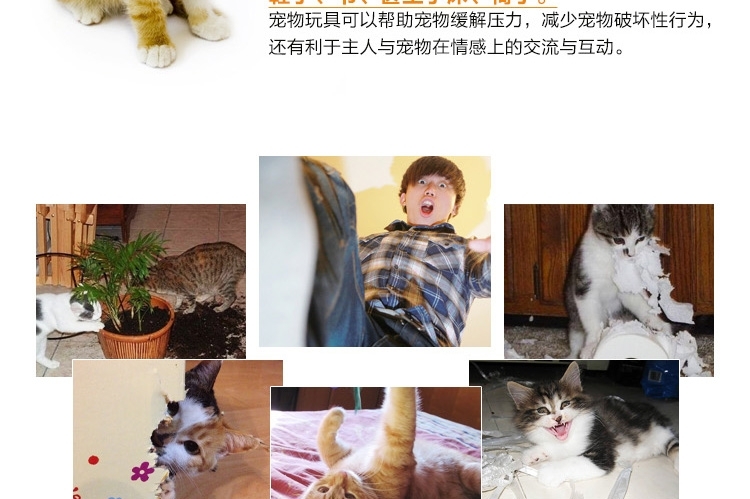 AFP 经典舒适猫抓板 冲球抓鱼猫爬架