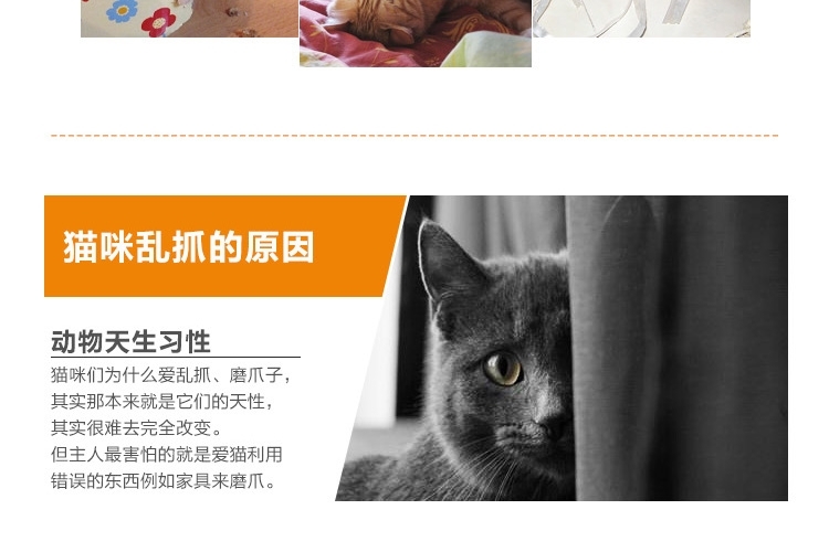 AFP 经典舒适猫抓板 冲球抓鱼猫爬架