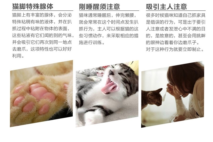 AFP 经典舒适猫抓板 冲球抓鱼猫爬架