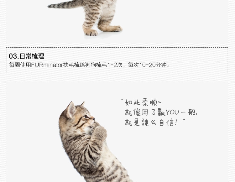 富美内特FURminator 猫猫祛毛梳