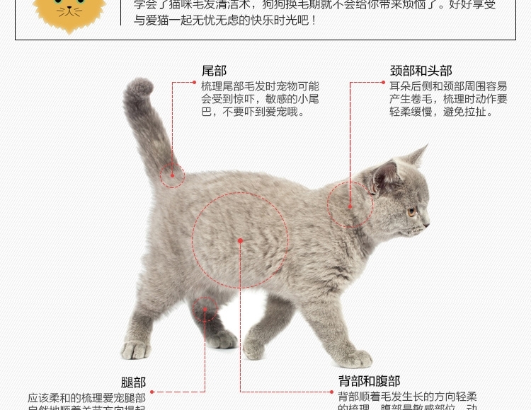 富美内特FURminator 猫猫祛毛梳
