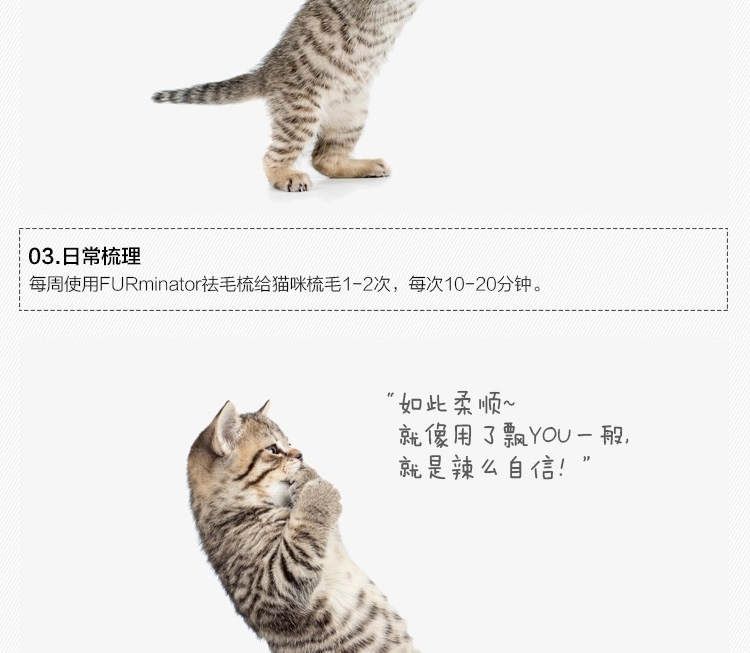 富美内特FURminator 猫猫祛毛梳