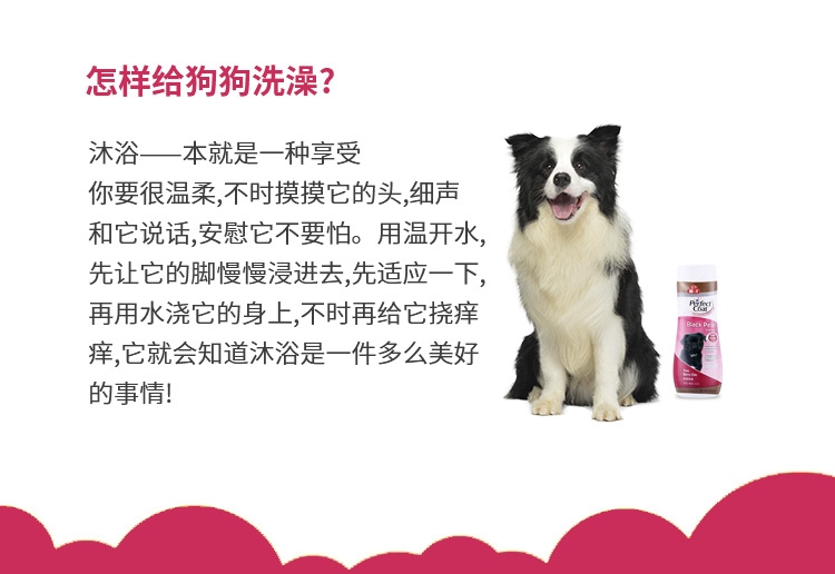 8in1 完美 深色毛发增艳洗护宠物香波 473ml 犬猫通用 美国进口
