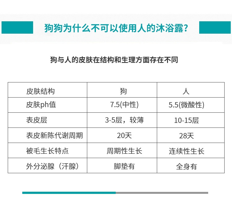 8in1 完美芦荟护毛宠物香波 473ml 犬猫通用 美国进口