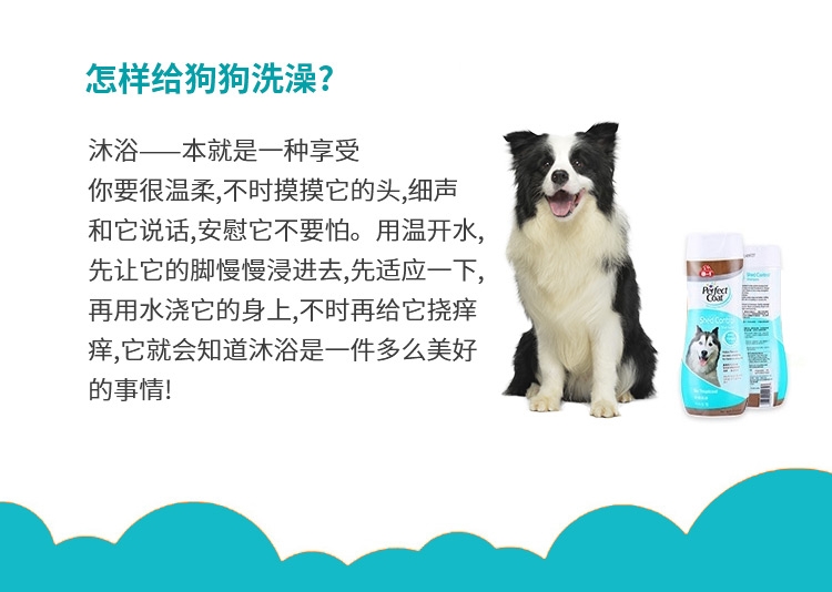 8in1 完美芦荟护毛宠物香波 473ml 犬猫通用 美国进口