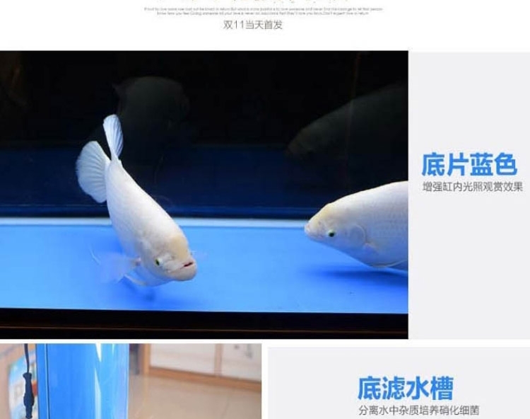 闽江鱼缸水族箱中型1米封闭式水族箱大型玻璃生态鱼缸方形下过滤