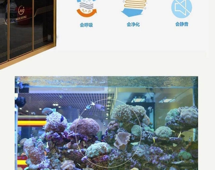 闽江鱼缸水族箱中型1米封闭式水族箱大型玻璃生态鱼缸方形下过滤