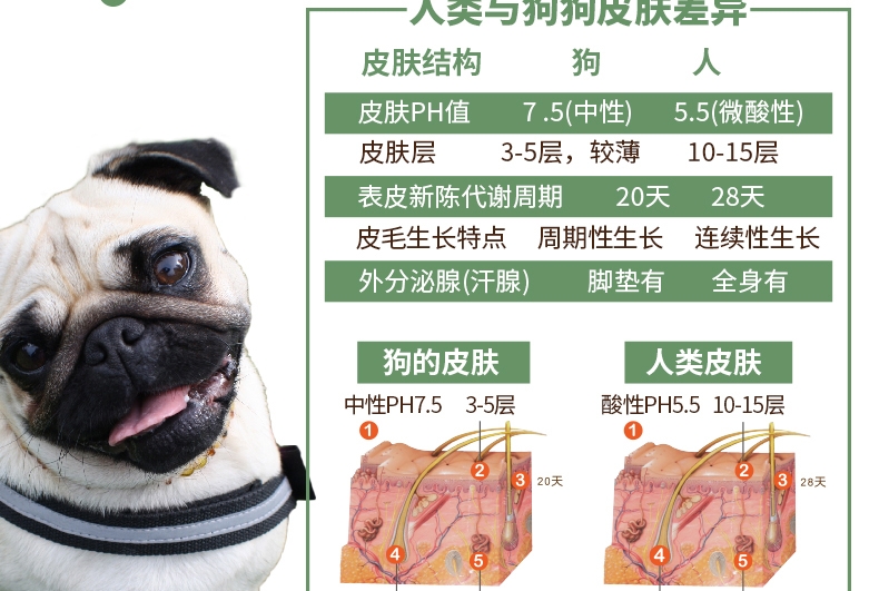 旺芙 红棕猫犬宠物香波沐浴露 500ml