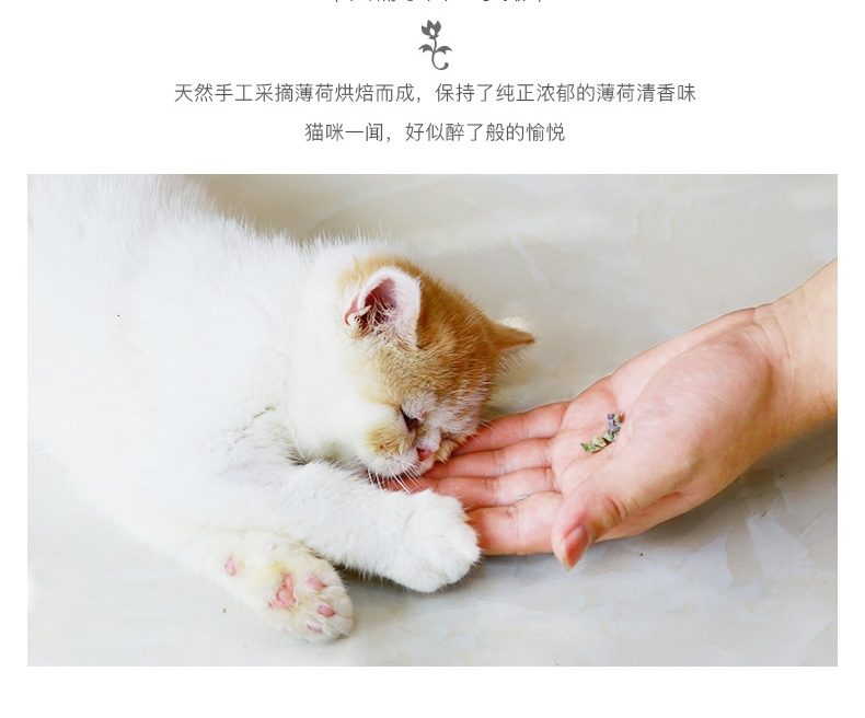 怡亲 猫咪去毛球 助消化 猫零食 猫薄荷230ml