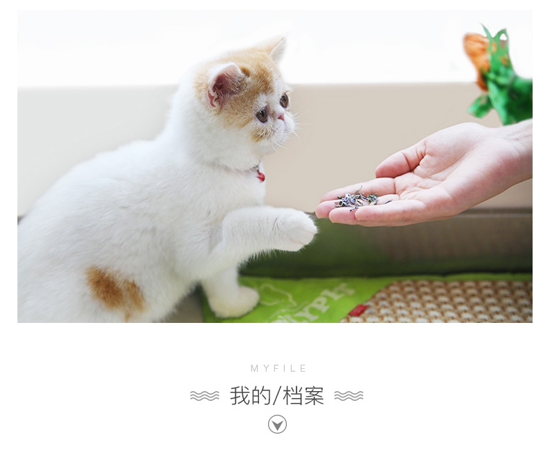 怡亲 猫咪去毛球 助消化 猫零食 猫薄荷230ml