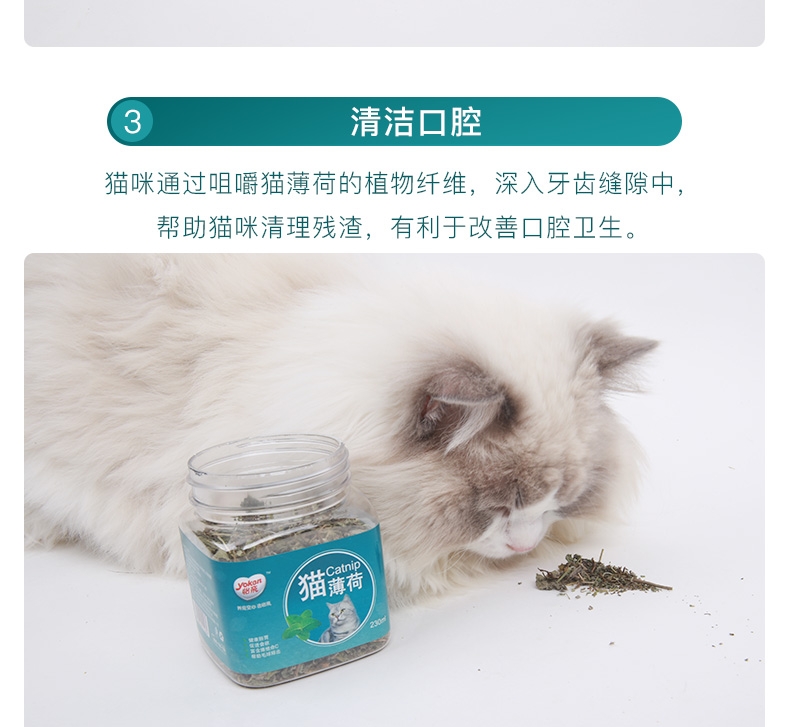 怡亲Yoken 去毛球清新口气猫咪零食猫薄荷叶猫薄荷粉 20g/罐