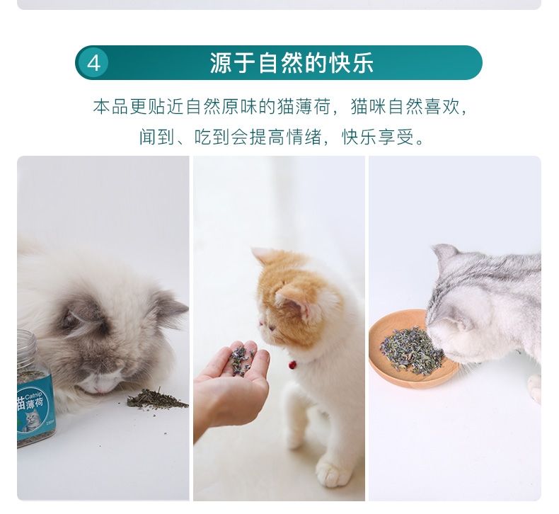 怡亲Yoken 去毛球清新口气猫咪零食猫薄荷叶猫薄荷粉 20g/罐
