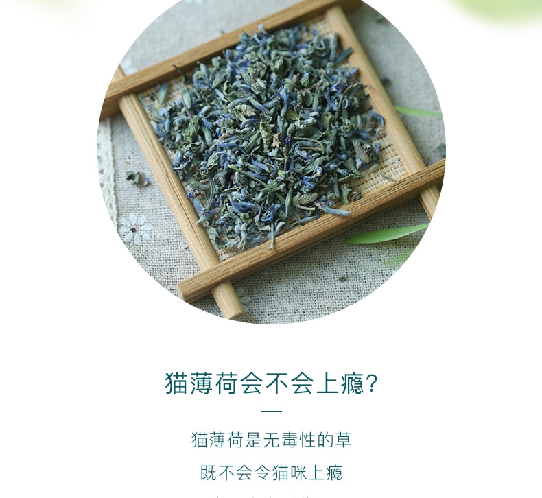 怡亲Yoken 去毛球清新口气猫咪零食猫薄荷叶猫薄荷粉 20g/罐
