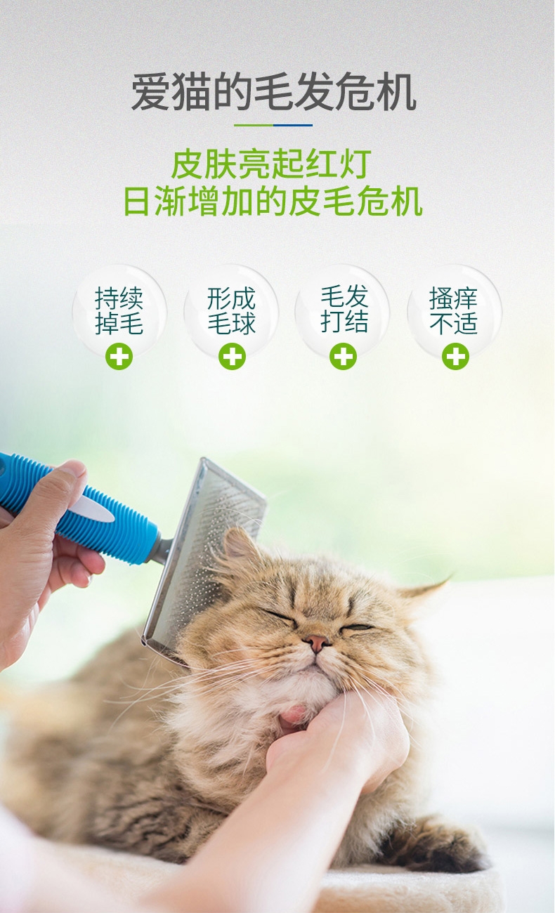麦德氏inplus 猫用护毛超浓缩卵磷脂 65g 改善肤质亮泽毛发