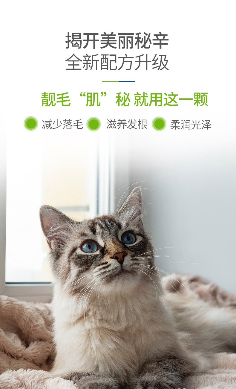 麦德氏inplus 猫用护毛超浓缩卵磷脂 65g 改善肤质亮泽毛发